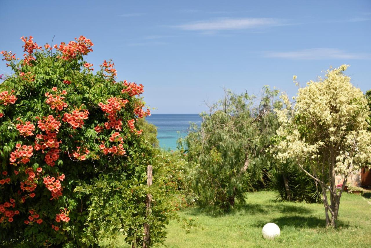 Villa Orri Tortolì Zewnętrze zdjęcie
